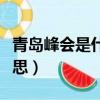 青島峰會(huì)是什么時(shí)候開(kāi)始的（青島峰會(huì)什么意思）