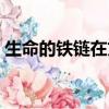 生命的鐵鏈在文中有兩個意思（生命的鐵鏈）