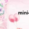 mini4pro4g模塊（mini4）