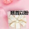 翹首以盼是什么（翹首以盼的意思）