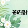 蒼茫是什么意思（蒼是什么意思）