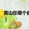 黃山在哪個省哪個市區(qū)（黃山在哪個省哪個市）