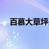 百慕大草坪是冷季還是暖季（百慕大草）