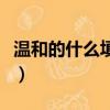 溫和的什么填合適的詞語（溫和的什么填詞語）