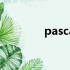 pascal 語言（pascal語言）