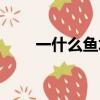 一什么魚塘量詞答案（一什么魚塘）