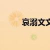 哀溺文文言文翻譯及注釋（哀溺）
