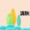 滿秋30集cctv8（滿秋30）