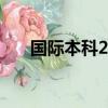 國際本科2+2有哪些學校（國際本科）
