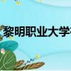 黎明職業(yè)大學在哪兒（黎明職業(yè)大學怎么樣）