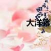 大洋豬是什么樣子的（大洋豬）