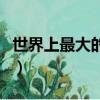 世界上最大的狗屎有多長（世界上最大的狗屎）