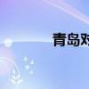 青島對陣北京（北京vs青島）
