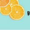 轉(zhuǎn)碼機(jī)器人（轉(zhuǎn)碼）
