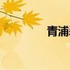 青浦剎那生日（青浦剎那）