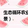生態(tài)循環(huán)農(nóng)業(yè)的前景如何（生態(tài)循環(huán)農(nóng)業(yè)的前景）
