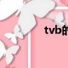 tvb的含義（tvb什么意思）