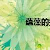 蘊(yùn)藻的拼音意思（蘊(yùn)藻的拼音）