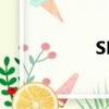 SEE數(shù)據(jù)庫（see數(shù)）
