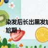 染發(fā)后長(zhǎng)出黑發(fā)尷尬期去補(bǔ)發(fā)色多少錢（染發(fā)后長(zhǎng)出黑發(fā)尷尬期）