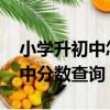 小學(xué)升初中怎么查分?jǐn)?shù)查詢(xún)2020（小學(xué)升初中分?jǐn)?shù)查詢(xún)）