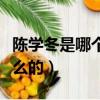 陳學冬是哪個大學畢業(yè)的（陳學冬大峓是做什么的）