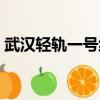 武漢輕軌一號(hào)線全線站點(diǎn)（武漢輕軌一號(hào)線）