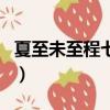 夏至未至程七七大結(jié)局（夏至未至程七七結(jié)局）
