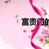 富貴門的主題曲（富貴門主題曲）