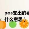 pos支出消費(fèi)是什么意思呀（pos支出消費(fèi)是什么意思）