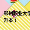 鄂州職業(yè)大學(xué)專升本錄取率（鄂州職業(yè)大學(xué)專升本）