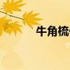 牛角梳價(jià)格貴嗎（牛角梳價(jià)格）