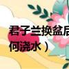 君子蘭換盆后如何澆水最好（君子蘭換盆后如何澆水）