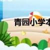 青園小學(xué)本部叫什么校區(qū)（青園小學(xué)）