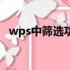 wps中篩選功能怎么用（wps篩選怎么用）