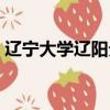 遼寧大學遼陽分校好嗎（遼寧大學遼陽分校）