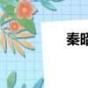 秦昭王的兒子（秦昭王）