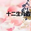 十二生肖的獨肖（十二生肖獨肖有哪些）