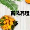 畜禽養(yǎng)殖念xu還是chu（畜禽讀音）