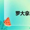 羅大拿黑血沸騰閱讀（羅大拿）