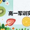 高一軍訓實踐成果怎么寫（高一軍訓）