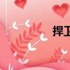 捍衛(wèi)是什么意思（捍衛(wèi)）