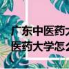 廣東中醫(yī)藥大學(xué)是985還是211大學(xué)（廣州中醫(yī)藥大學(xué)怎么樣）