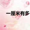 一厘米有多長參照物圖（一厘米有多長）