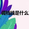 調(diào)檔線是什么意思和錄取線的區(qū)別（調(diào)檔線）