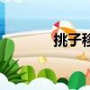 挑子移植的游戲大全（挑子）