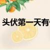 頭伏第一天有什么講究（那天是頭伏第一天）