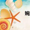 婉曲修辭手法（婉曲）