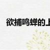 欲捕鳴蟬的上一句是什么（欲捕鳴蟬古詩）