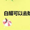 白醋可以去除狗尿味兒（去除家里狗味的妙招）